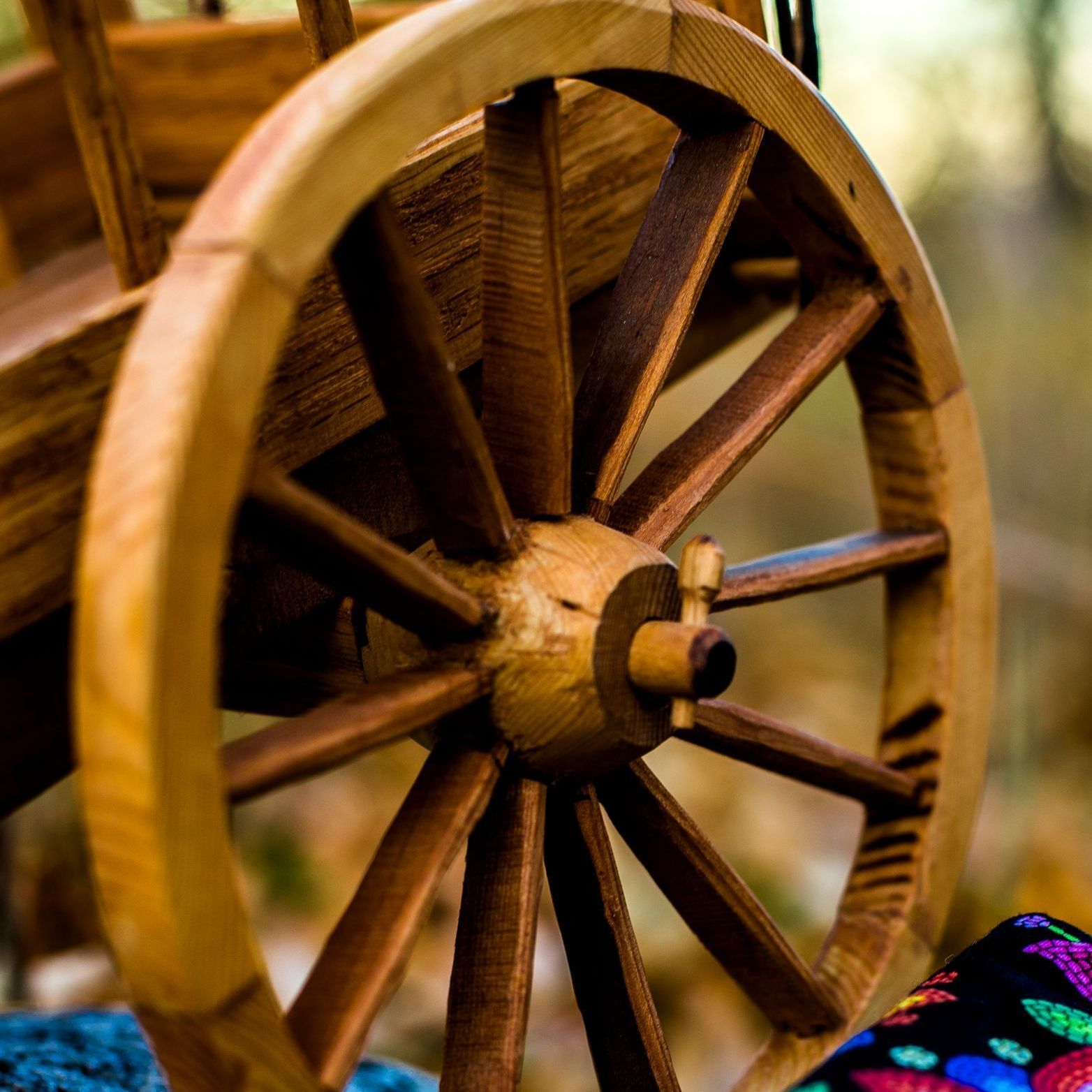 Zoomed in picture of a wooden Red River Cart Wheel