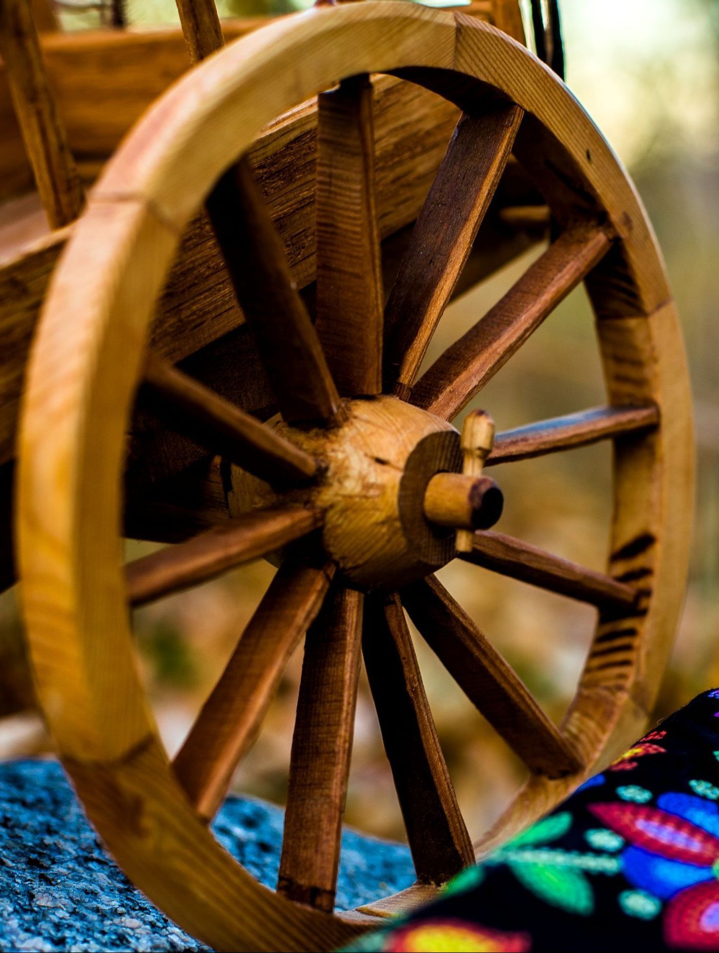 Dished wheel of the Metis Red River Cart closeup.