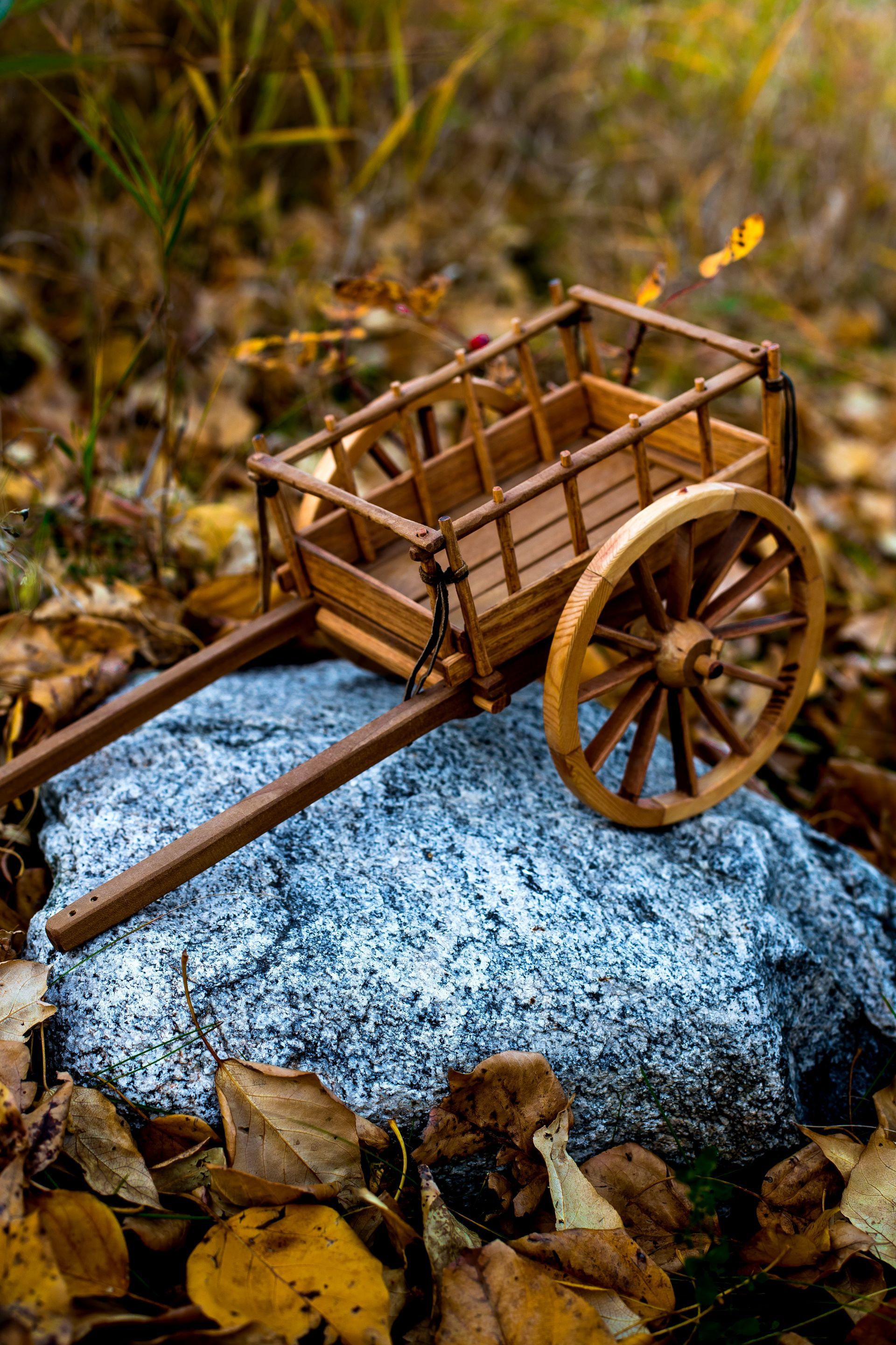 Red River Cart for sale