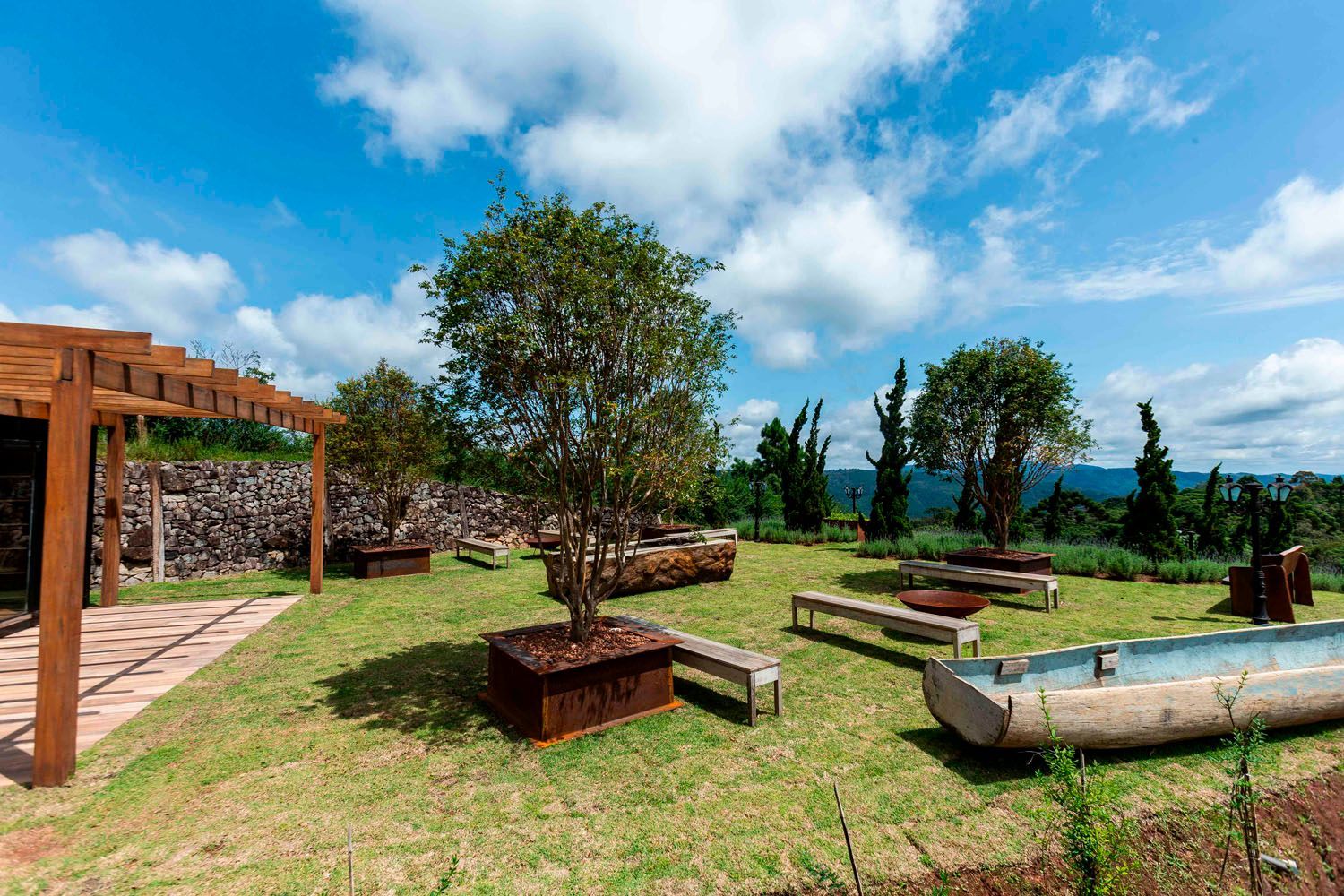Um jardim com muitas árvores e bancos