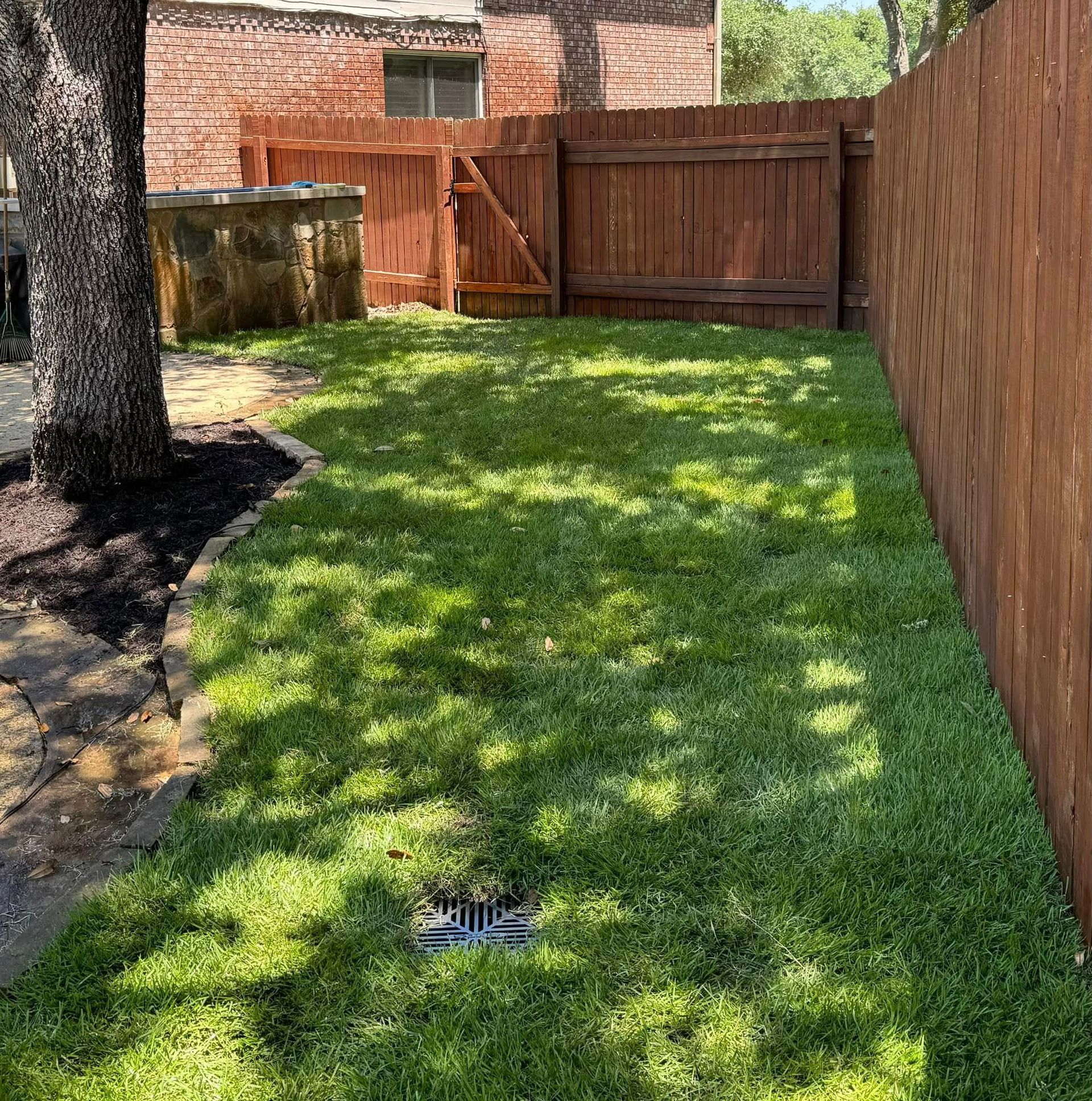A backyard with a wooden fence and a lush green lawn.