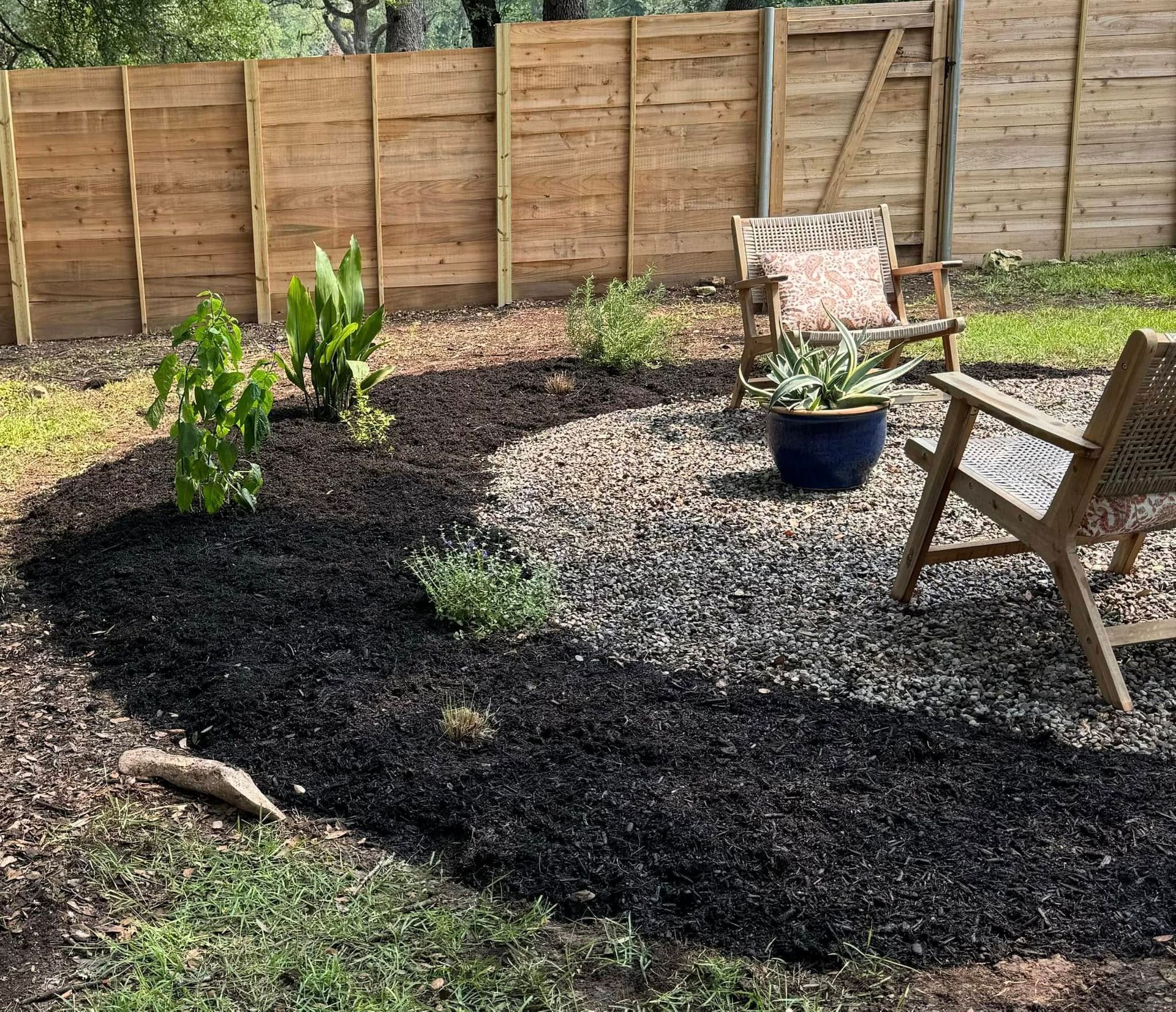 There is a chair and a potted plant in the middle of the yard.