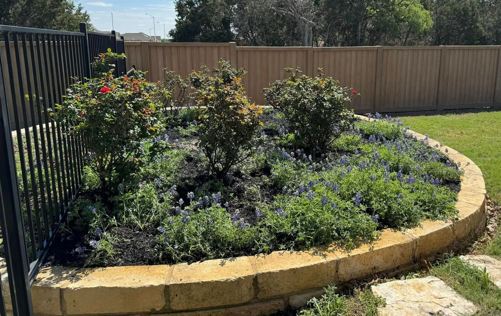 A garden with flowers and a fence in the background.