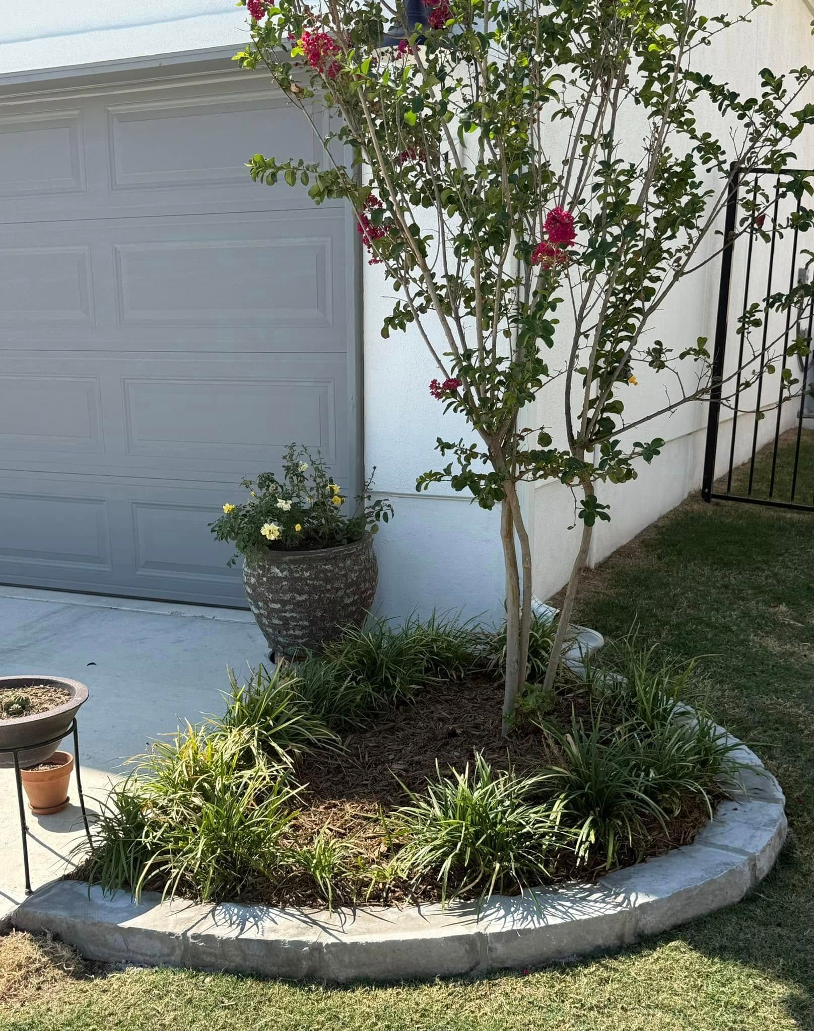 A tree in a garden in front of a garage door.