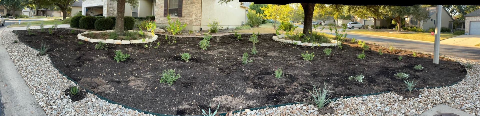 A garden with a lot of rocks and plants in front of a house.