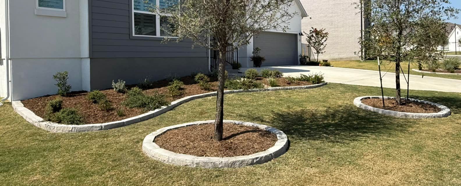 A lawn with three trees in circles in front of a house.