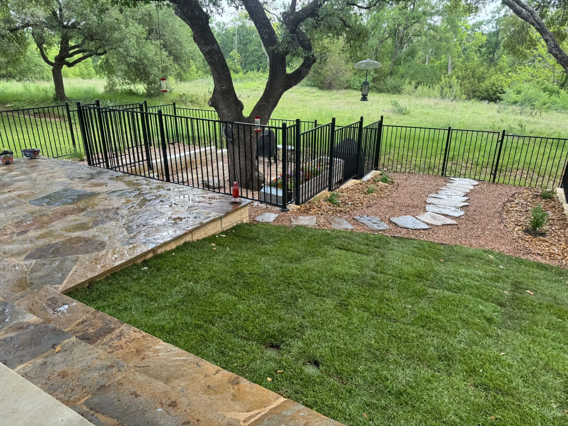 A fence is surrounding a lush green lawn in a backyard.