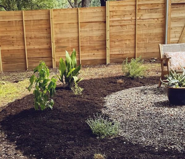 A wooden fence surrounds a garden with plants and mulch.