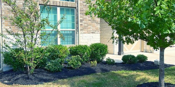 A lush green yard with trees and bushes in front of a brick house.