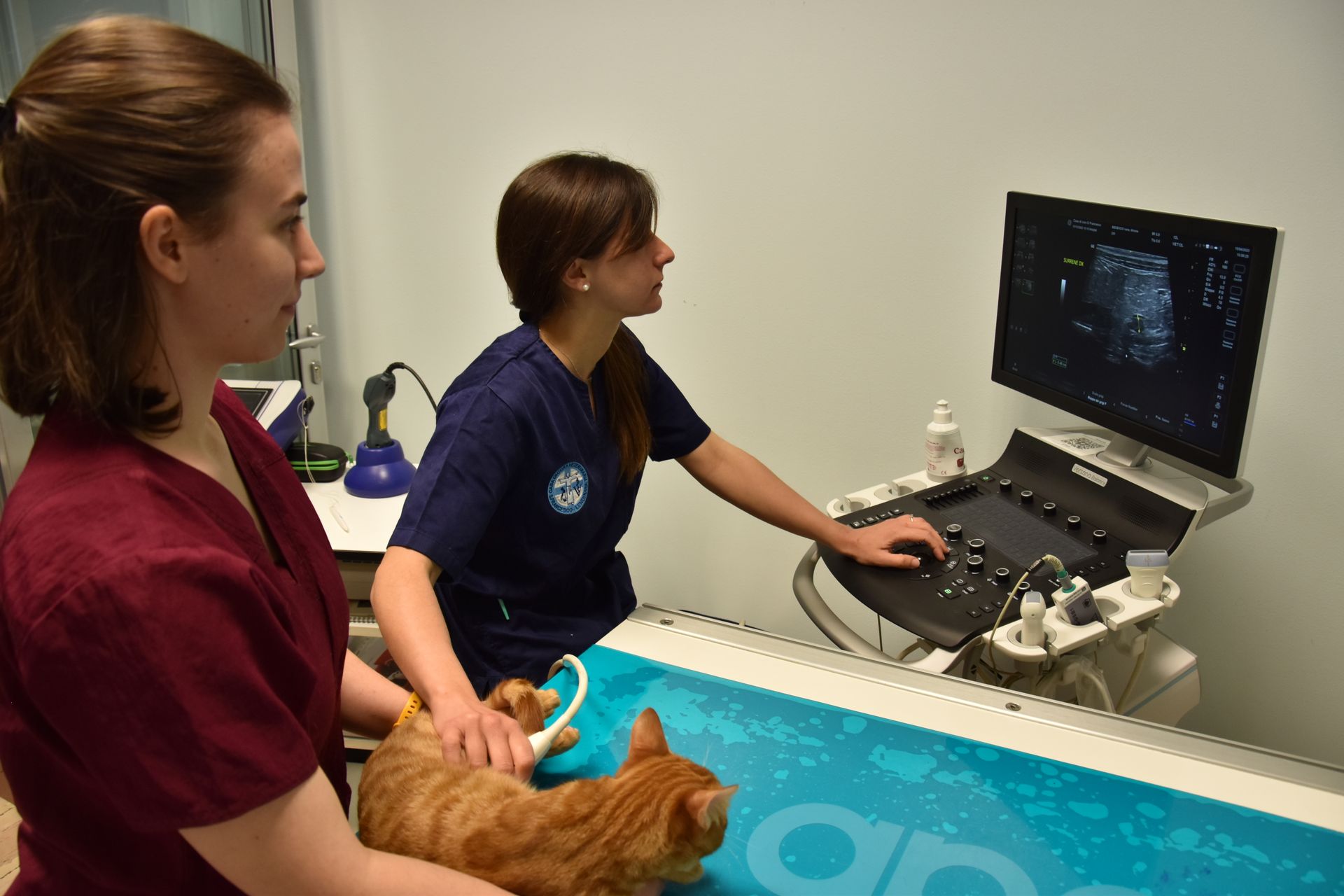 Diagnostica per immagini