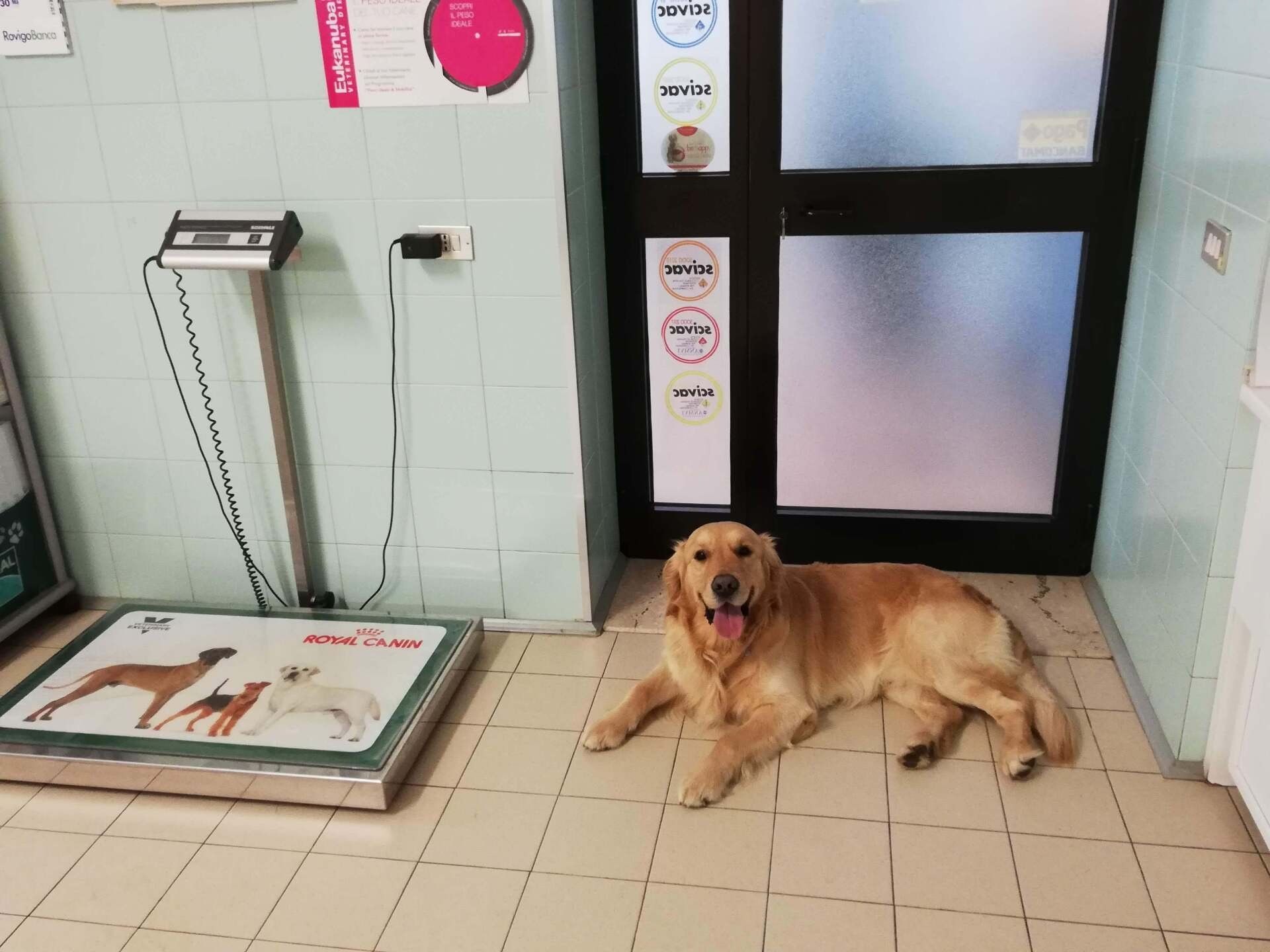 ingresso casa di cura veterinaria