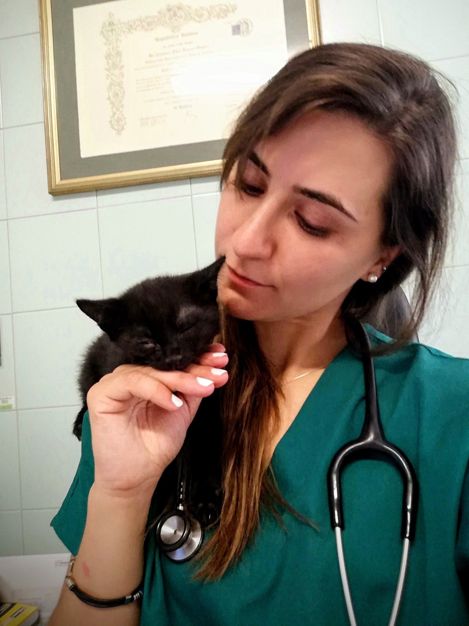 dottoressa zambello cura un gatto