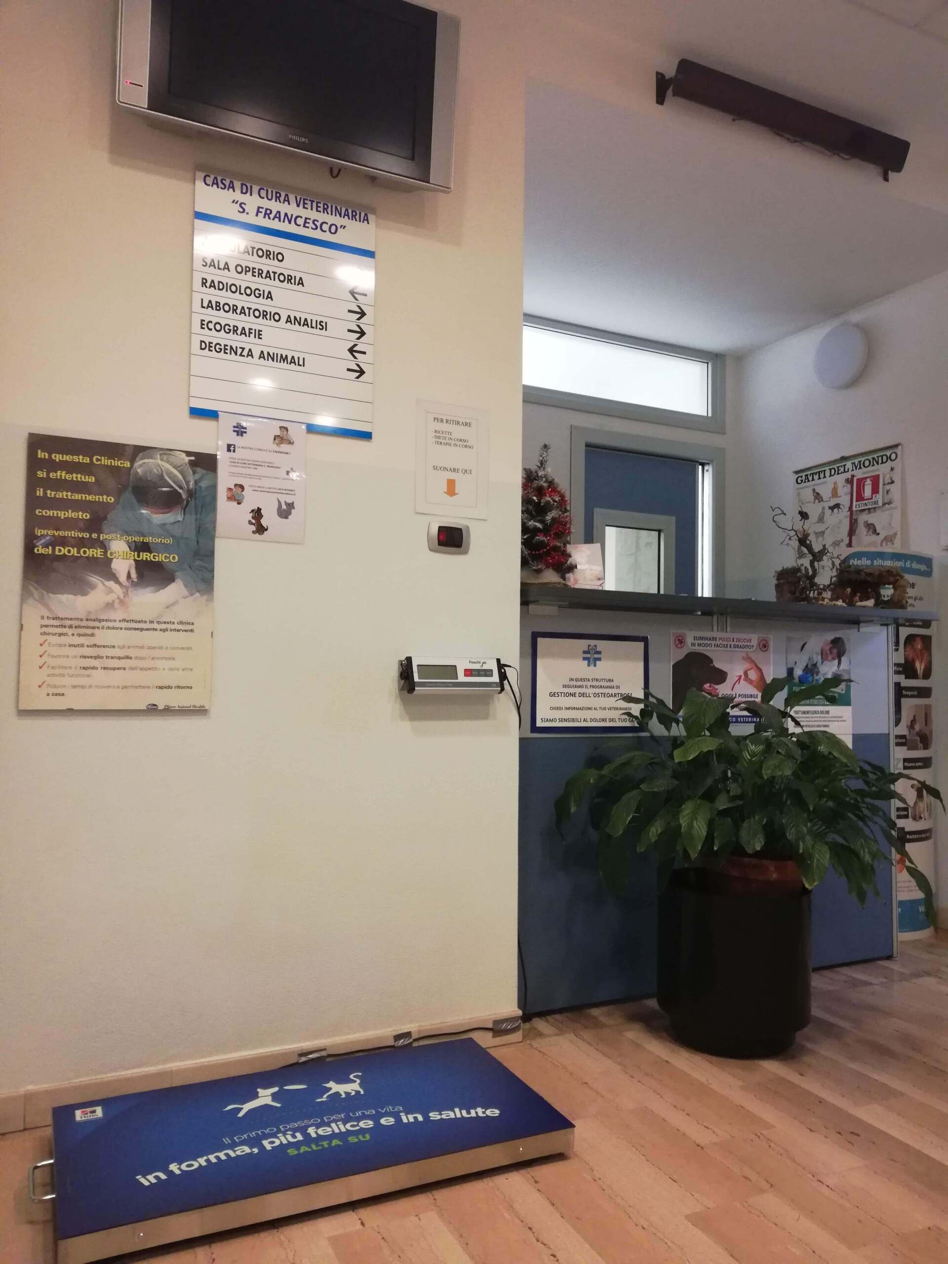 ingresso veterinario