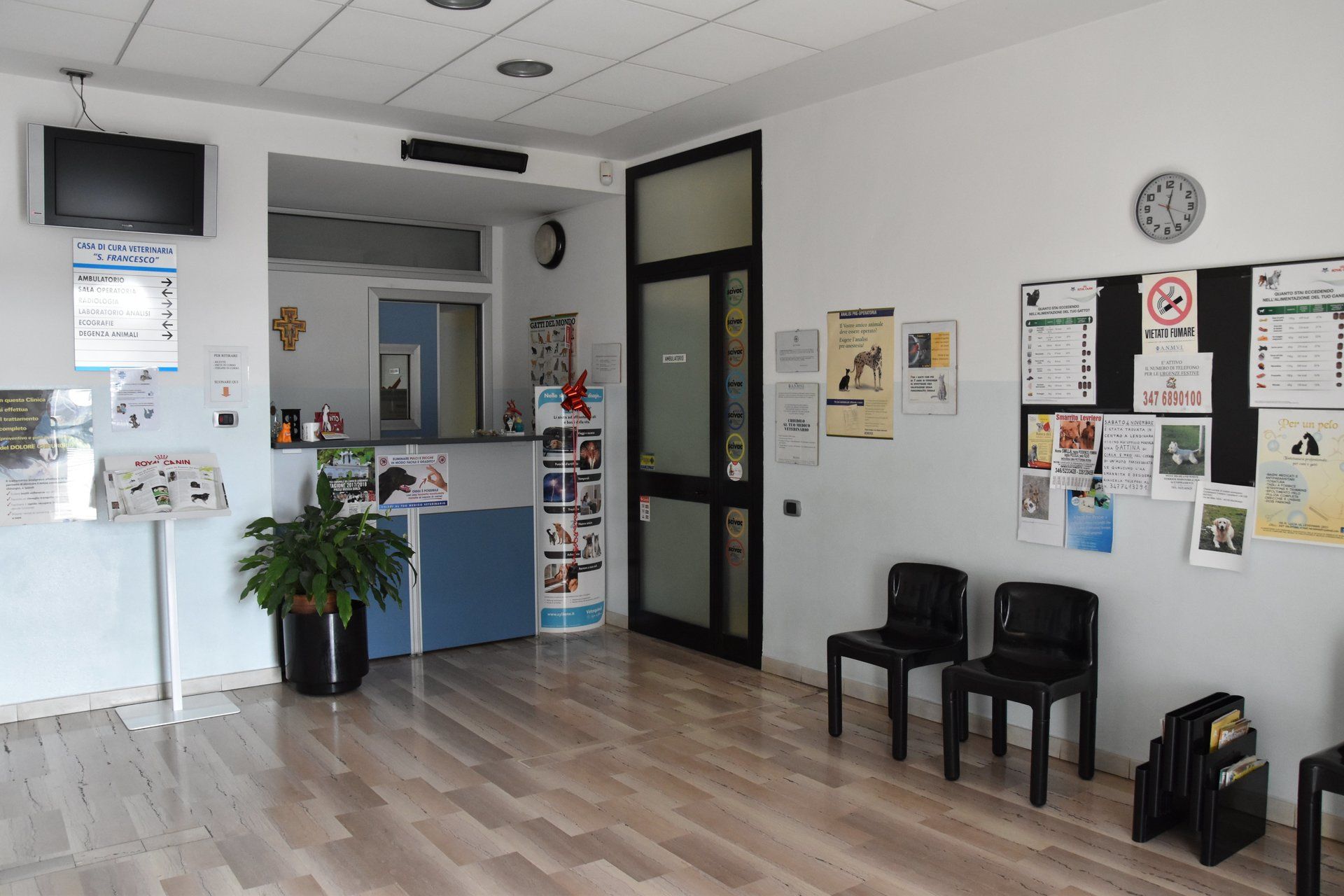 Clinica veterinaria