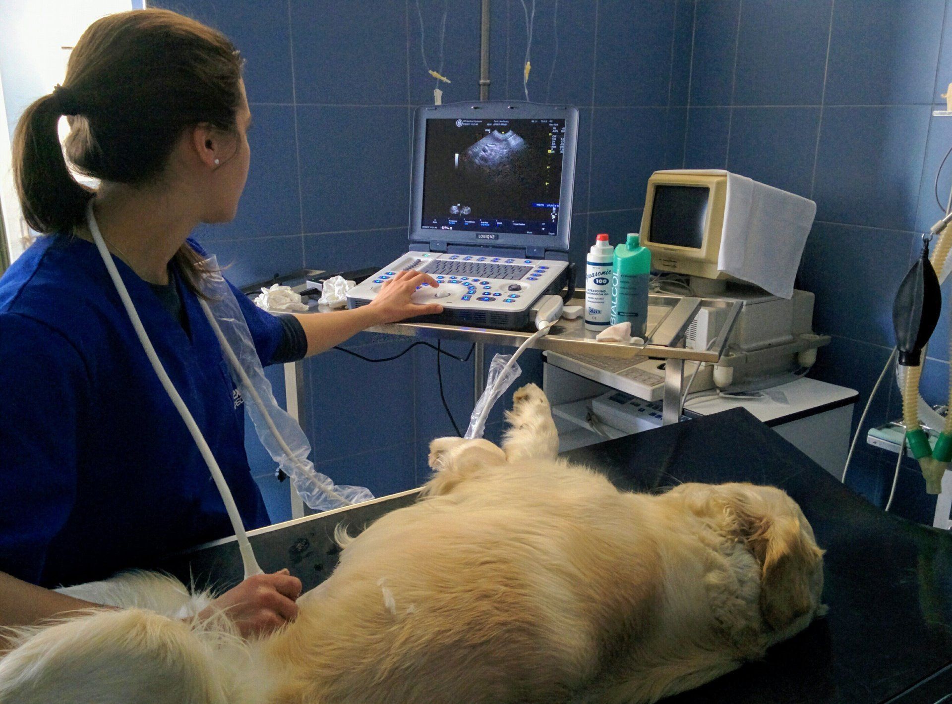 Diagnostica per immagini