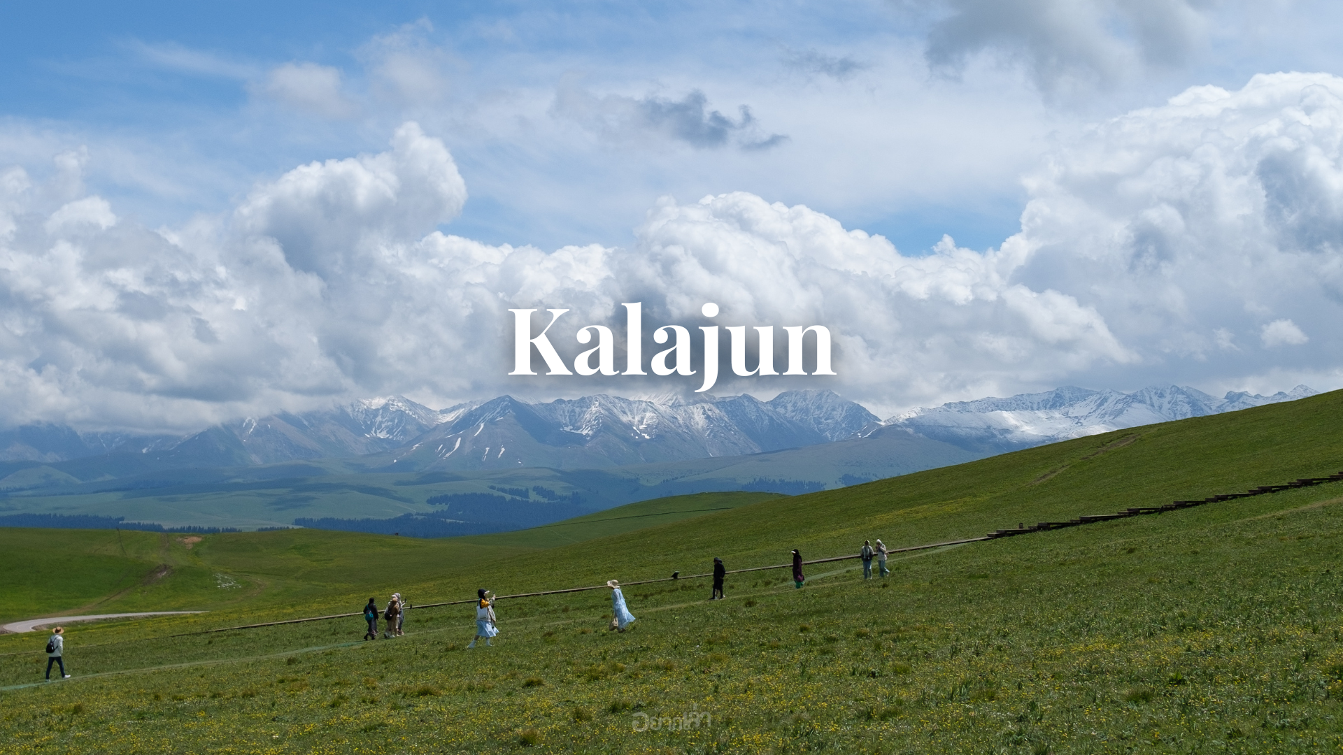 ทุ่งหญ้าคาลาจุ้น Kalajun Xinjiang ซินเจียง