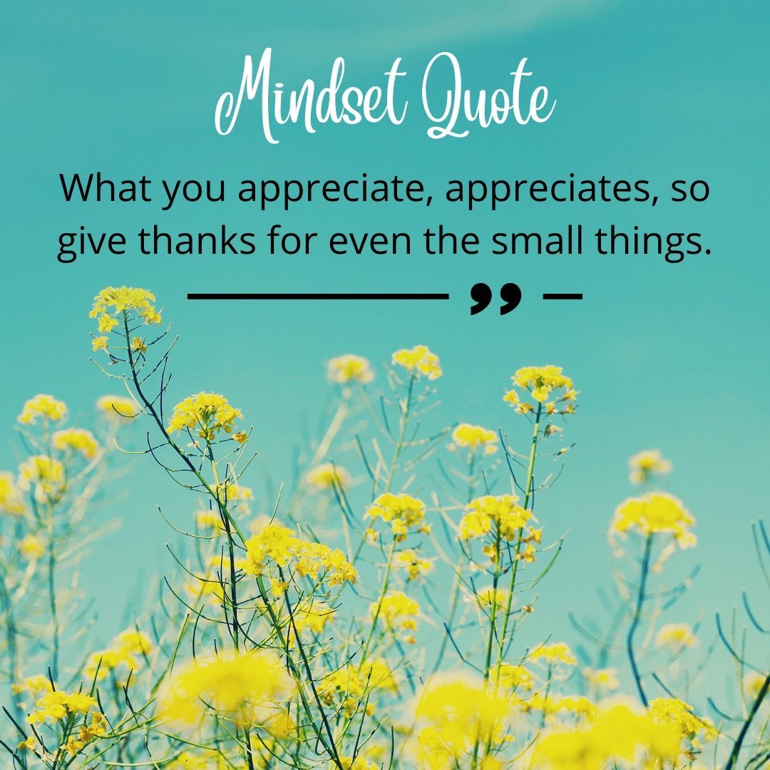 A mindset quote that says what you appreciate appreciates so give thanks for even the small things