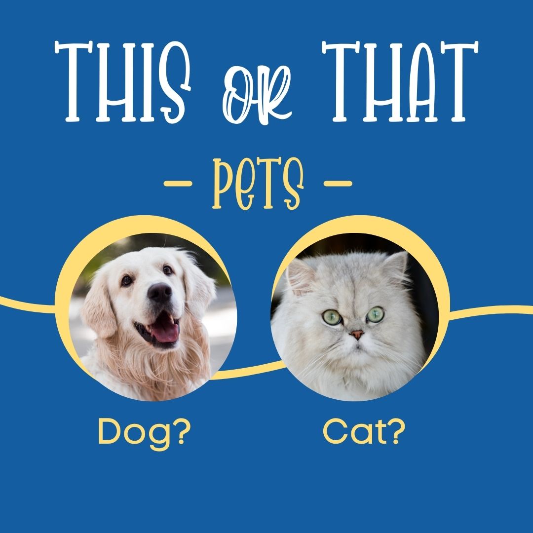 A picture of a dog and a picture of a cat on a blue background that says this or that pets