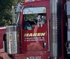 A red maben truck with a dog in the driver 's seat
