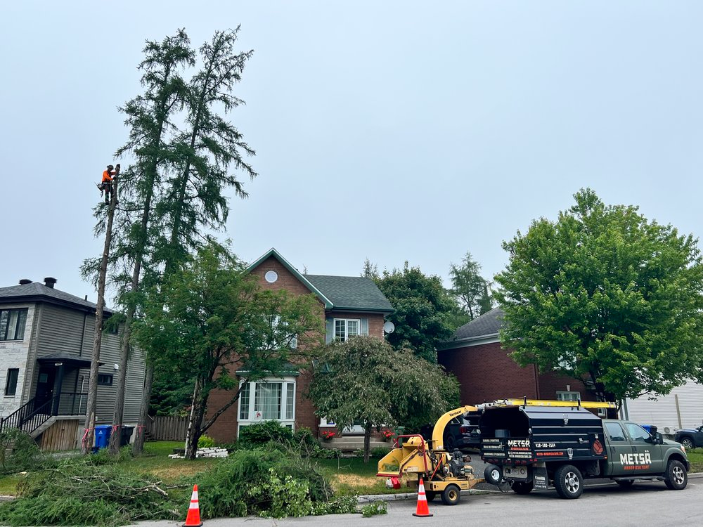 Un camion est garé devant une maison avec un arbre en train d'être abattu.