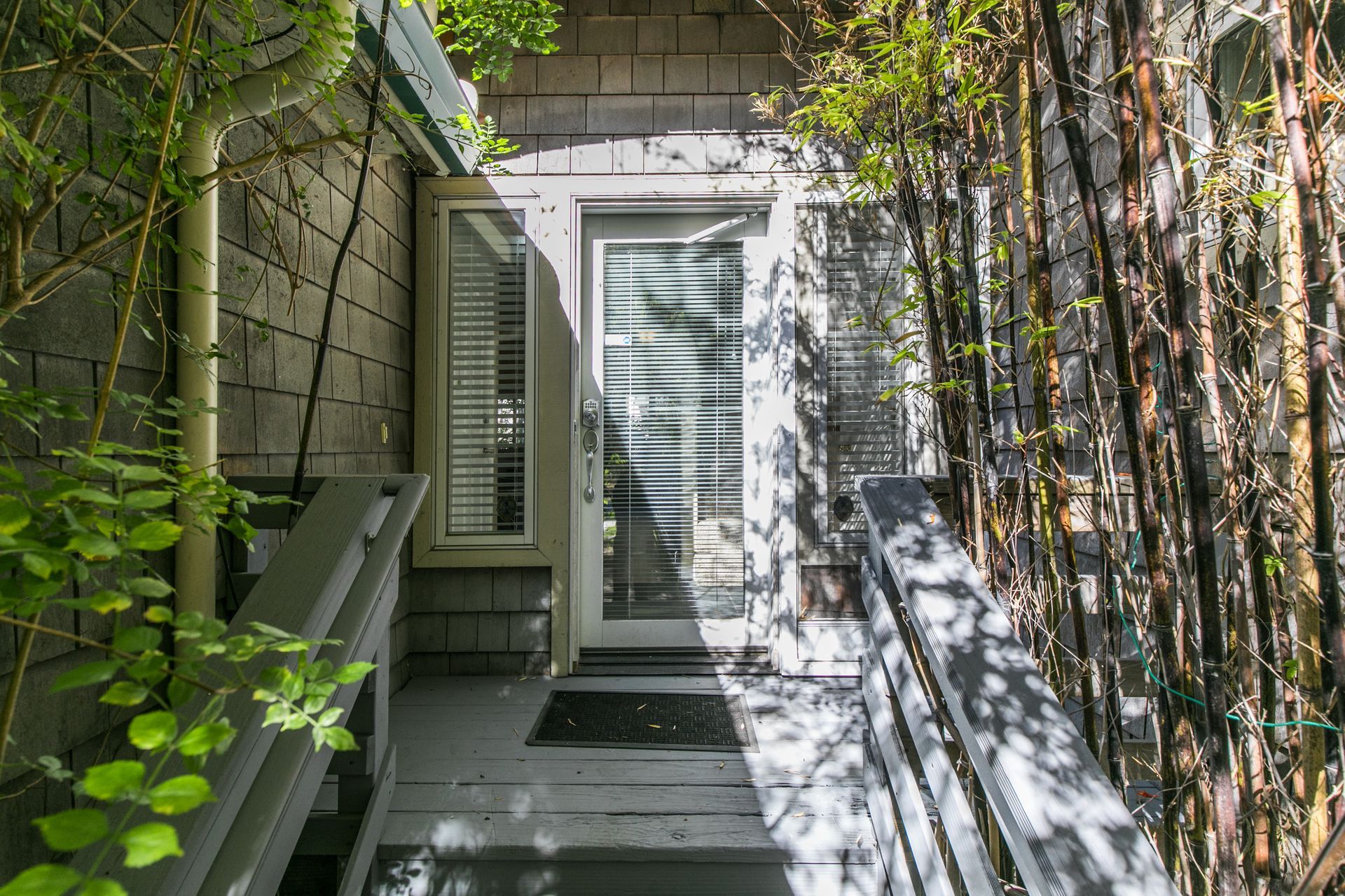 Narrow porch with white door, shuttered window, and climbing vines along a stone exterior