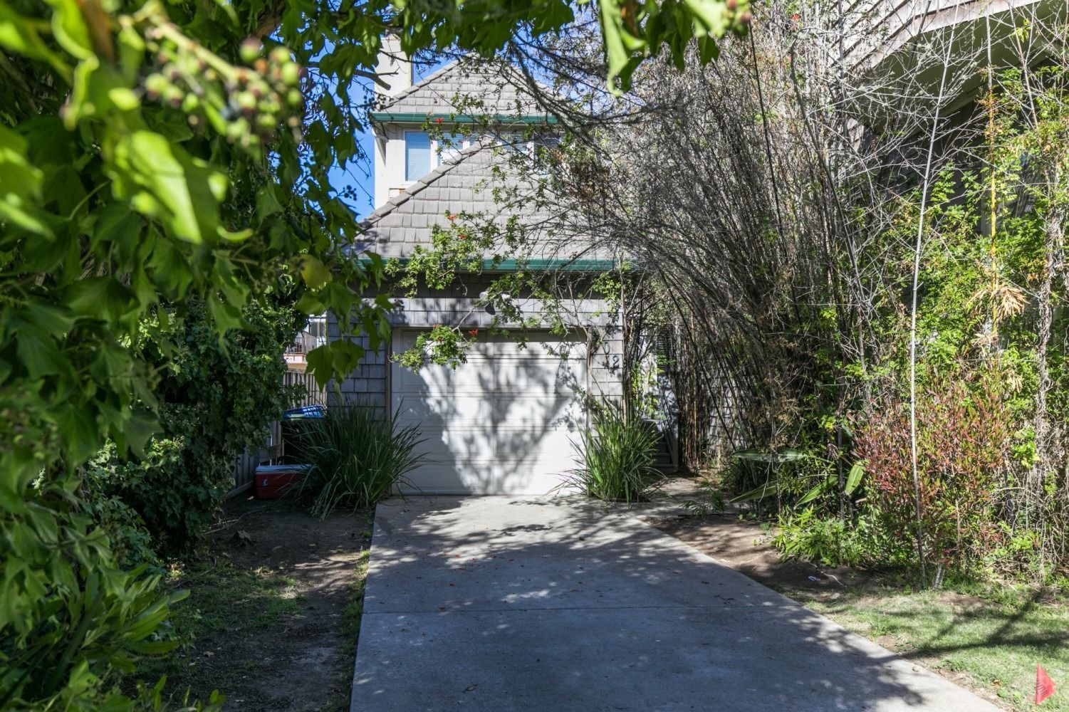 Driveway leading to a garage, shaded by dense green trees and shrubs.