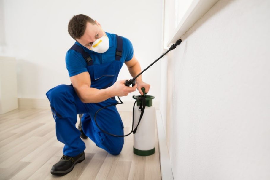 Pest control worker applying spray treatment to a baseboard.
