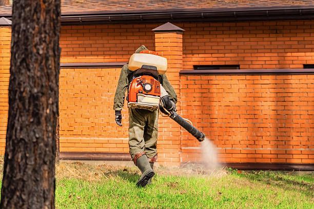 Exterminator spraying backyard lawn for mosquitoes.
