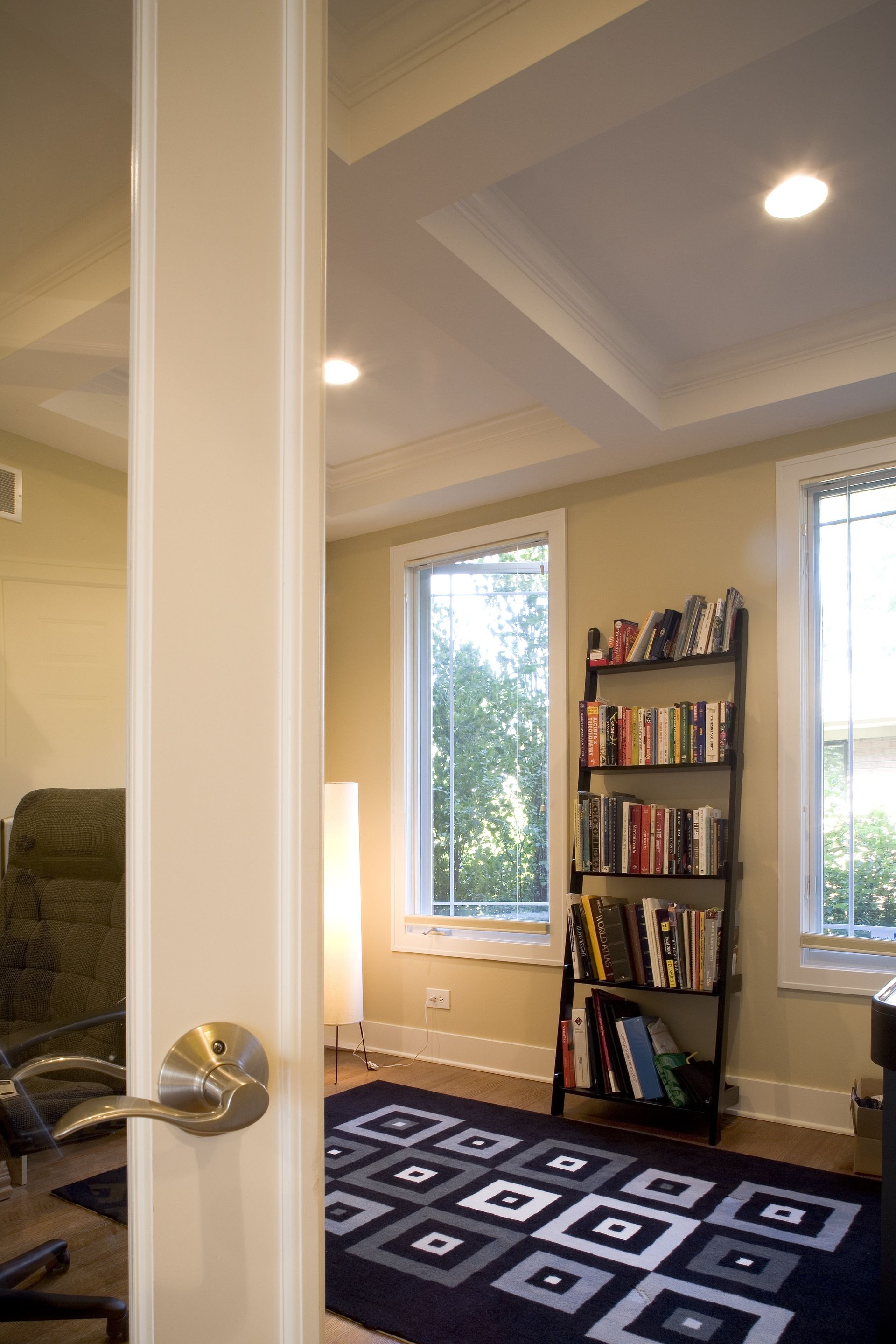 A living room with a bookshelf and a blue rug