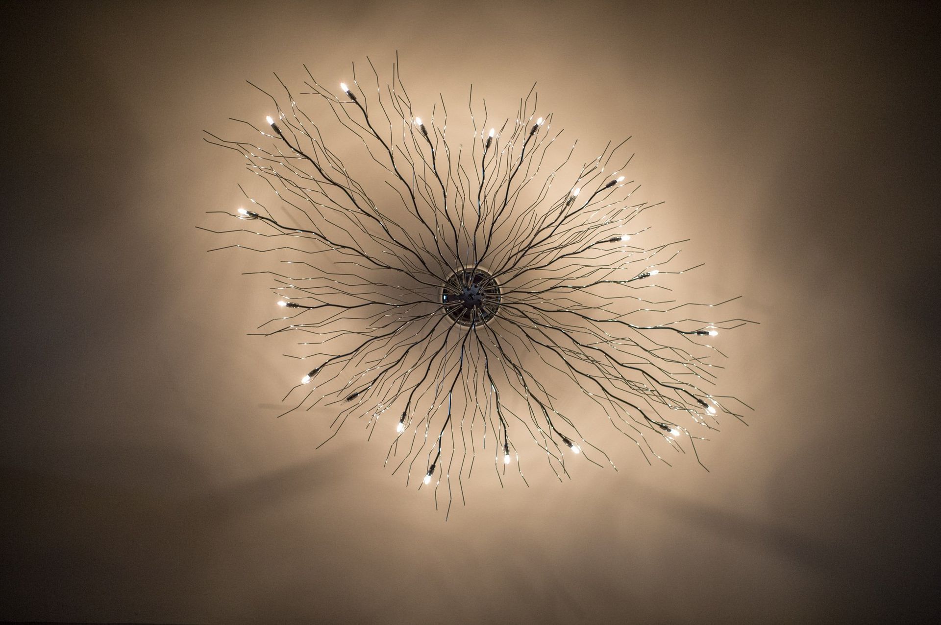 It looks like a fireworks display with a lot of lights coming out of it.