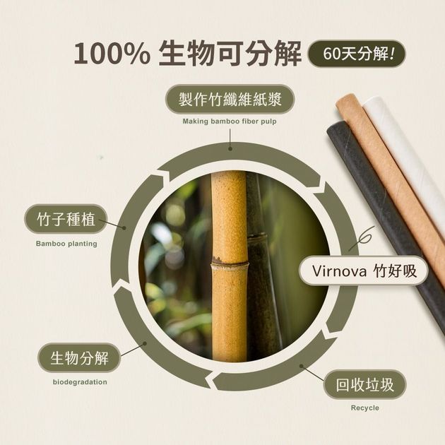 Virnova 竹好吸竹纖維紙吸管生物可分解循環示意圖,從竹子種植到使用後分解