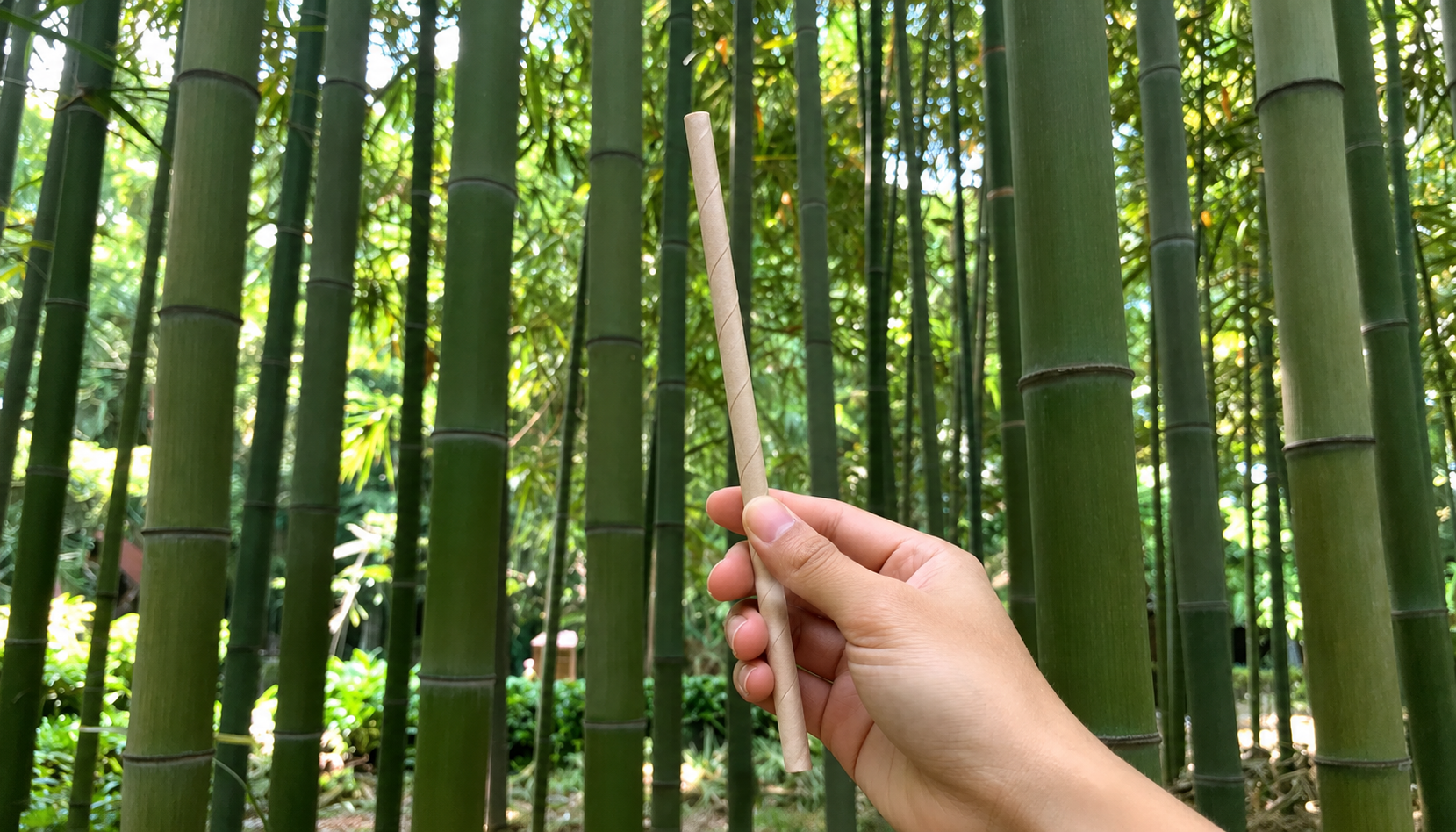 手持 Virnova 竹好吸的竹纖維紙吸管，說明如何從材質與檢驗報告判斷紙吸管是否無塑膠成分