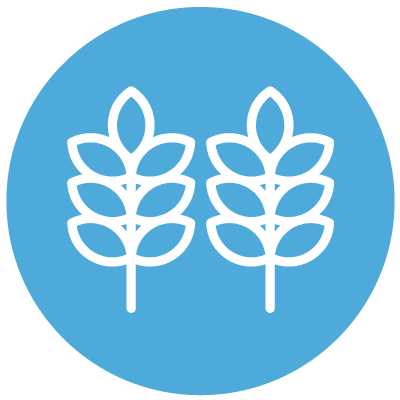 Saint David's Episcopal Church in Nashville, TN