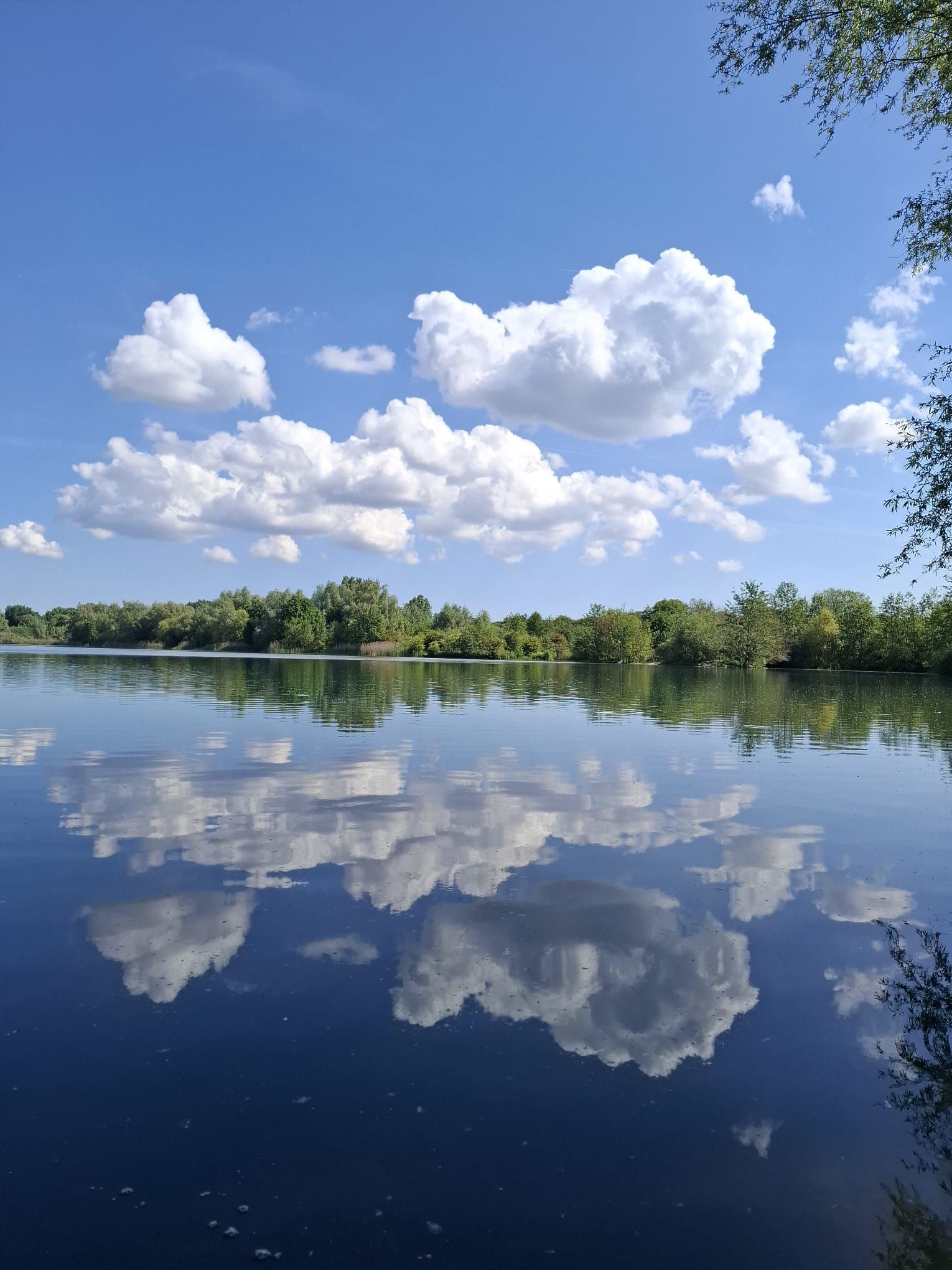Prachtige weerspiegeling van wolken in een plas
