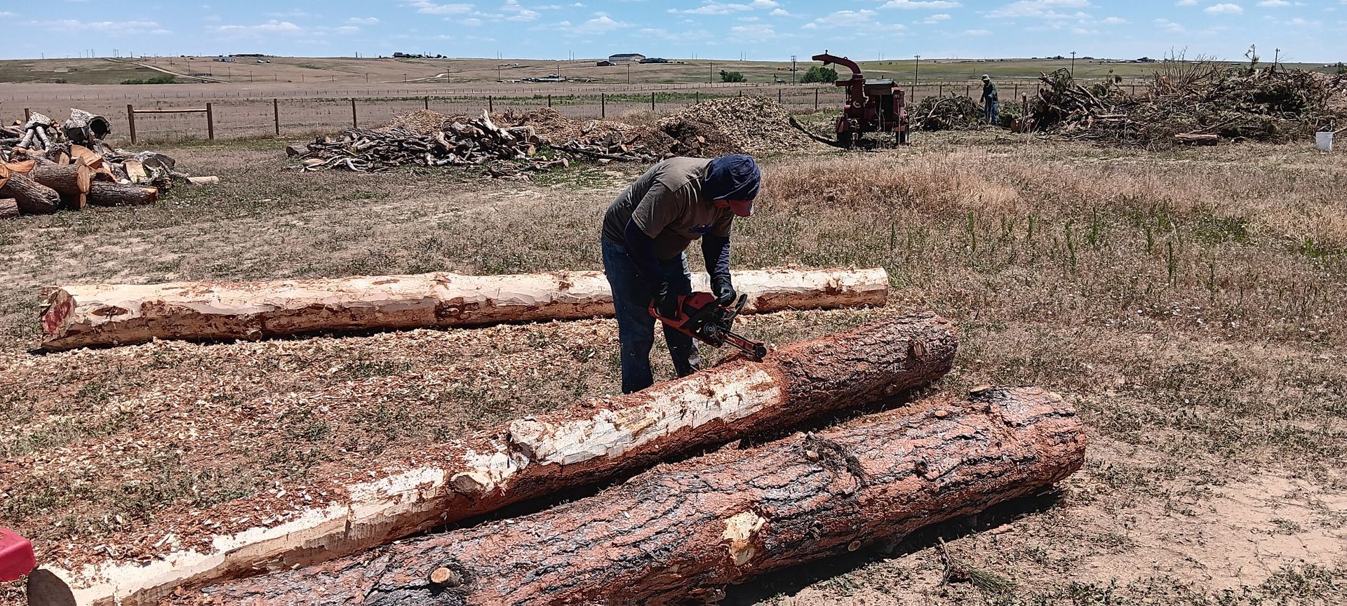 A man is cutting logs with a chainsaw in a field.