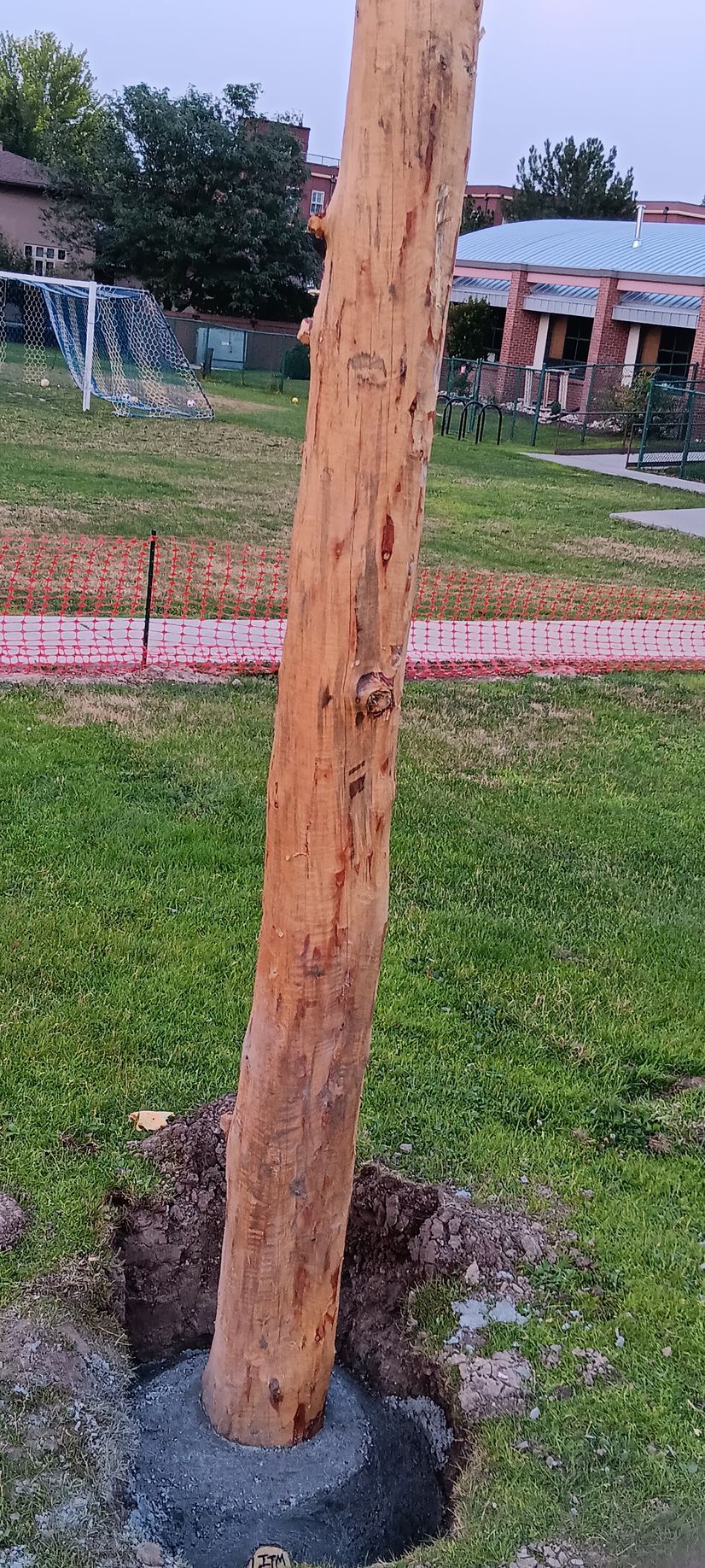 A wooden pole is sitting in the middle of a grassy field.