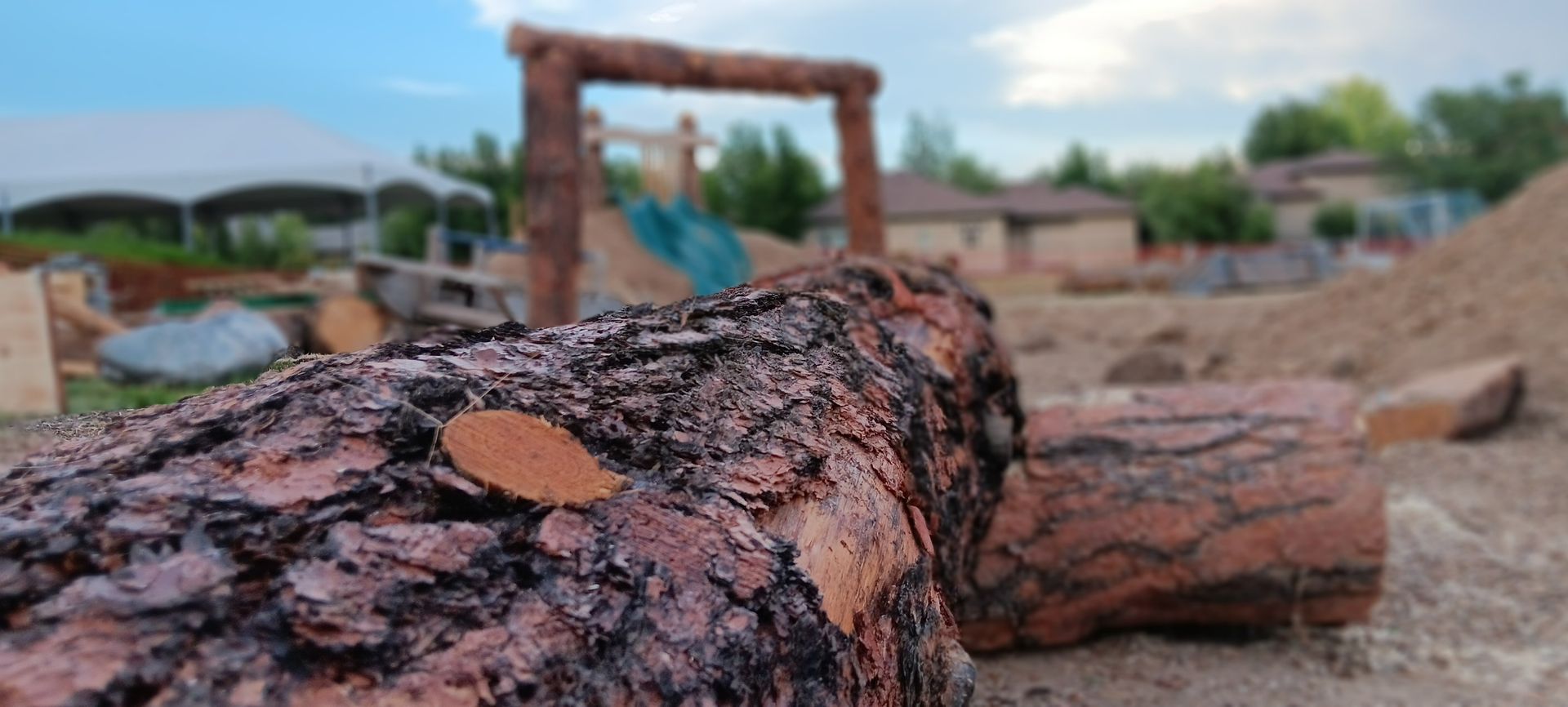 A close up of a tree trunk with a playground in the background.