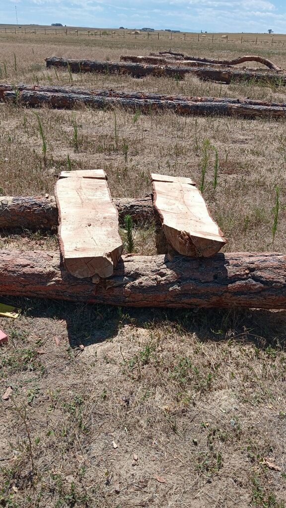 A wooden bench is sitting on top of a log in a field.