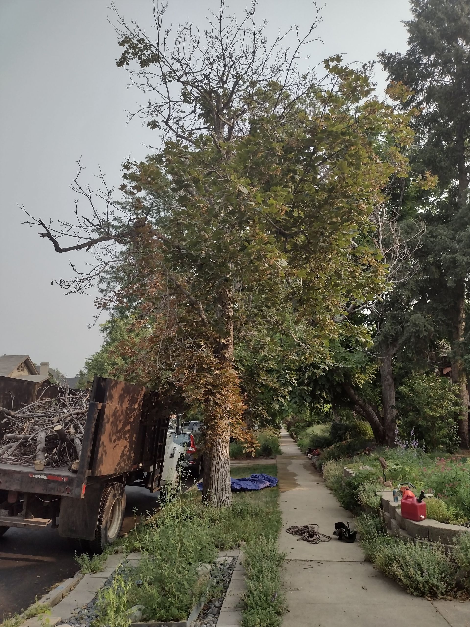 A garbage truck is parked on the side of the road next to a tree.