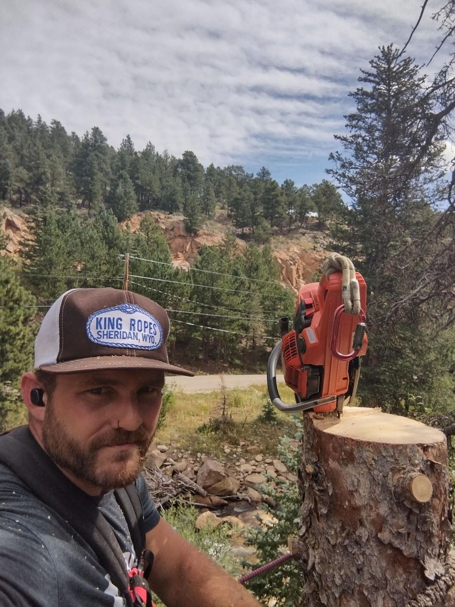 A man in a green shirt and black gloves is trimming a tree.