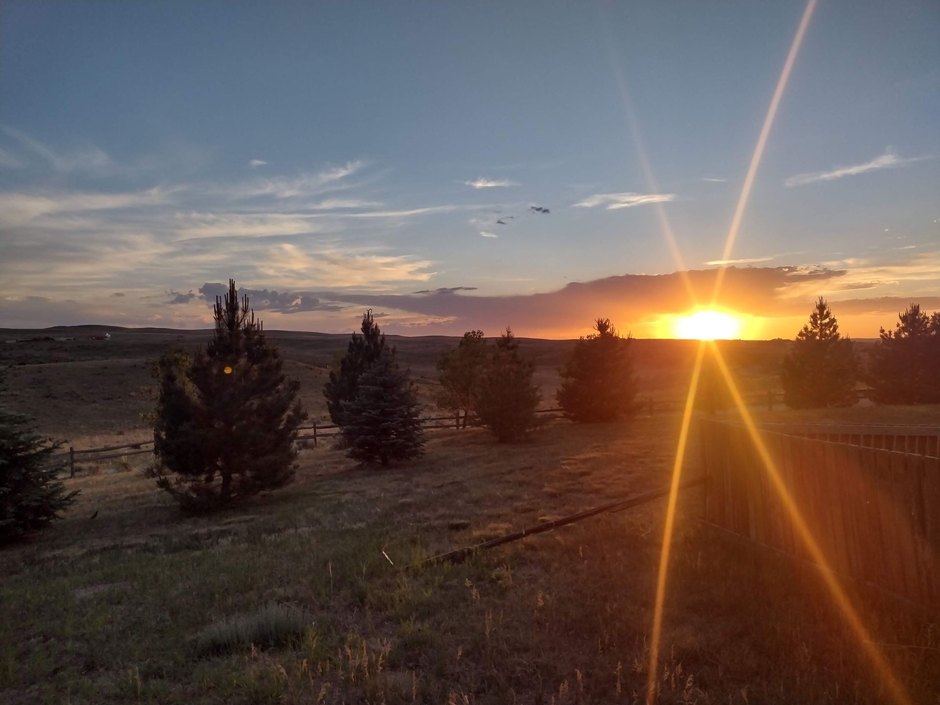 The sun is setting over a field with trees in the foreground