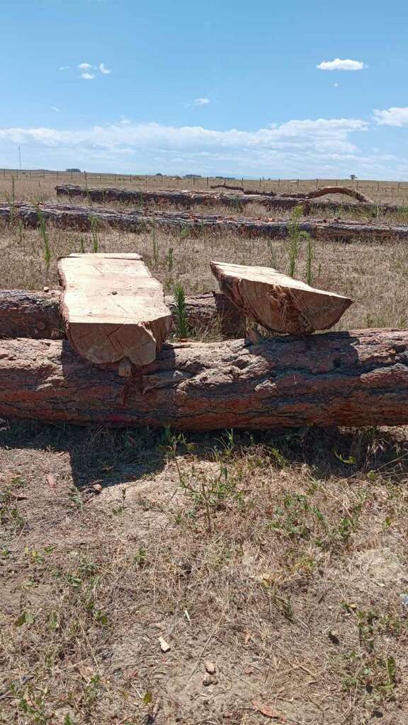 A wooden bench is sitting on top of a log in a field.