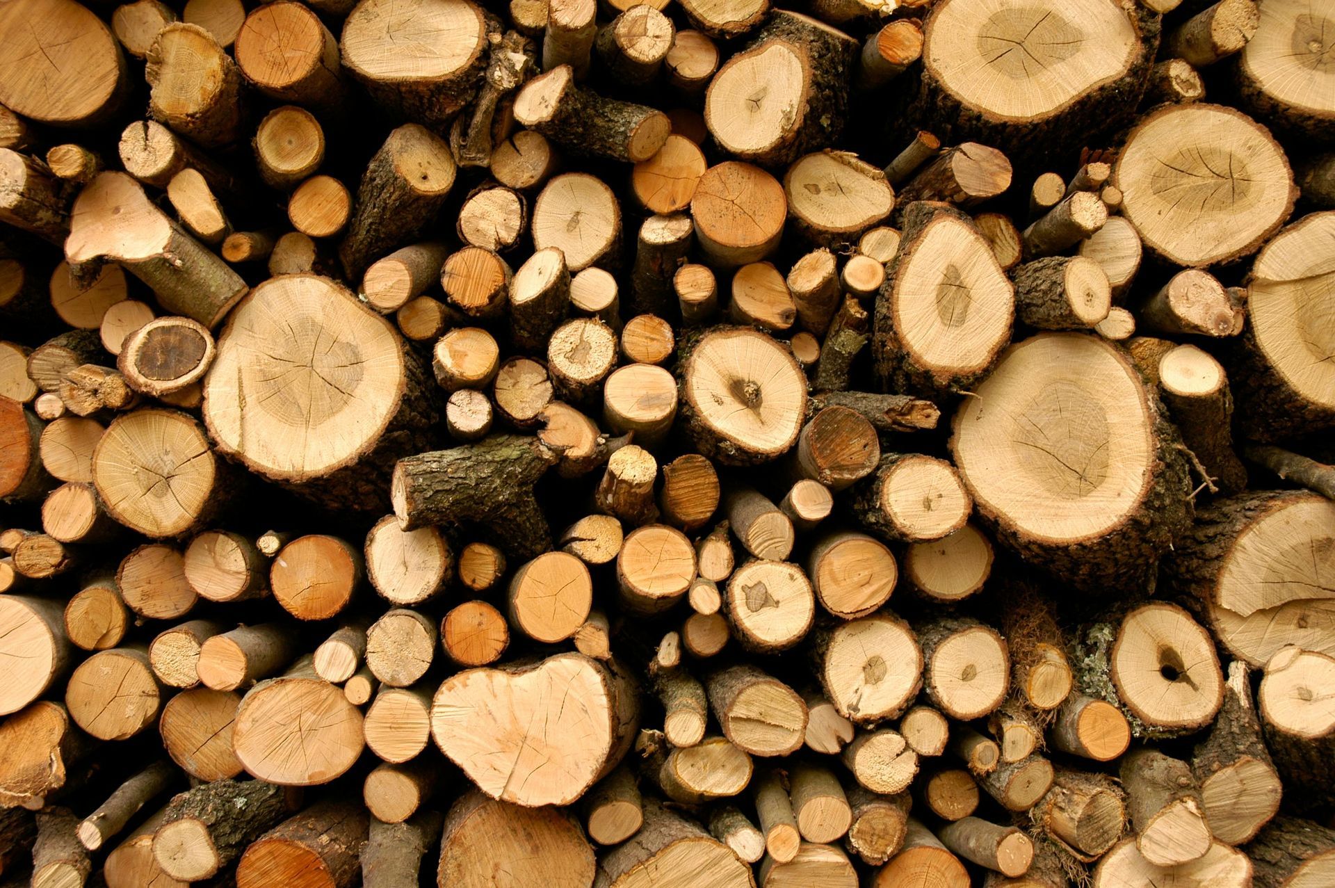 A pile of logs stacked on top of each other