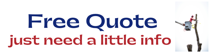 A sign that says free quote just need a little info