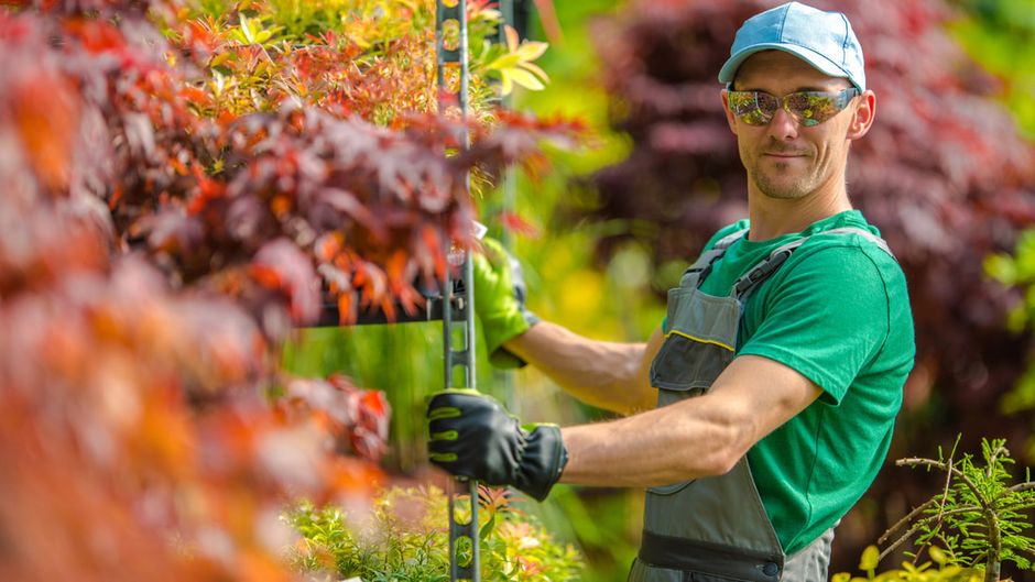 A man is standing in a garden holding a plant.