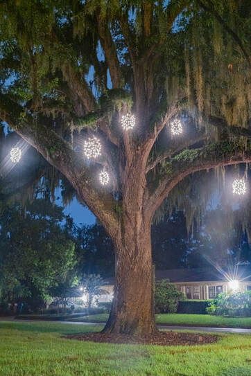 A tree with christmas lights hanging from it at night.