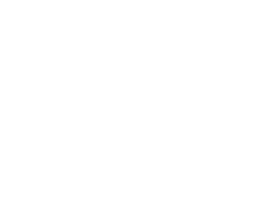 Elite Care Medical Transport logo