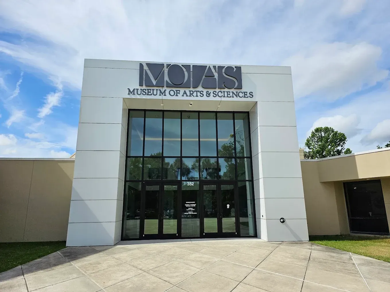 Large, old oak tree with white picket fence around the base, Spanish moss hanging from branches.