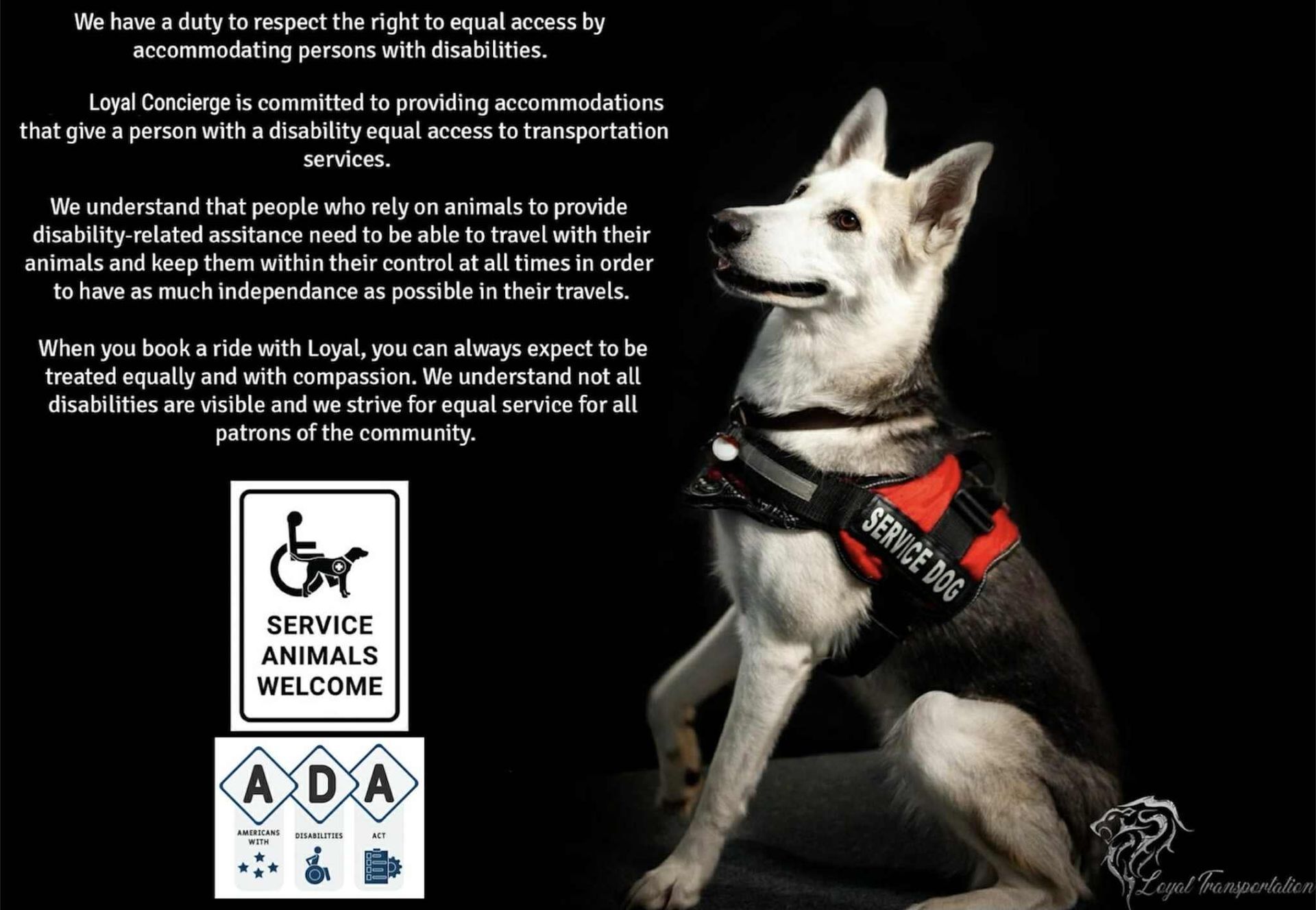 Service Dog Policy