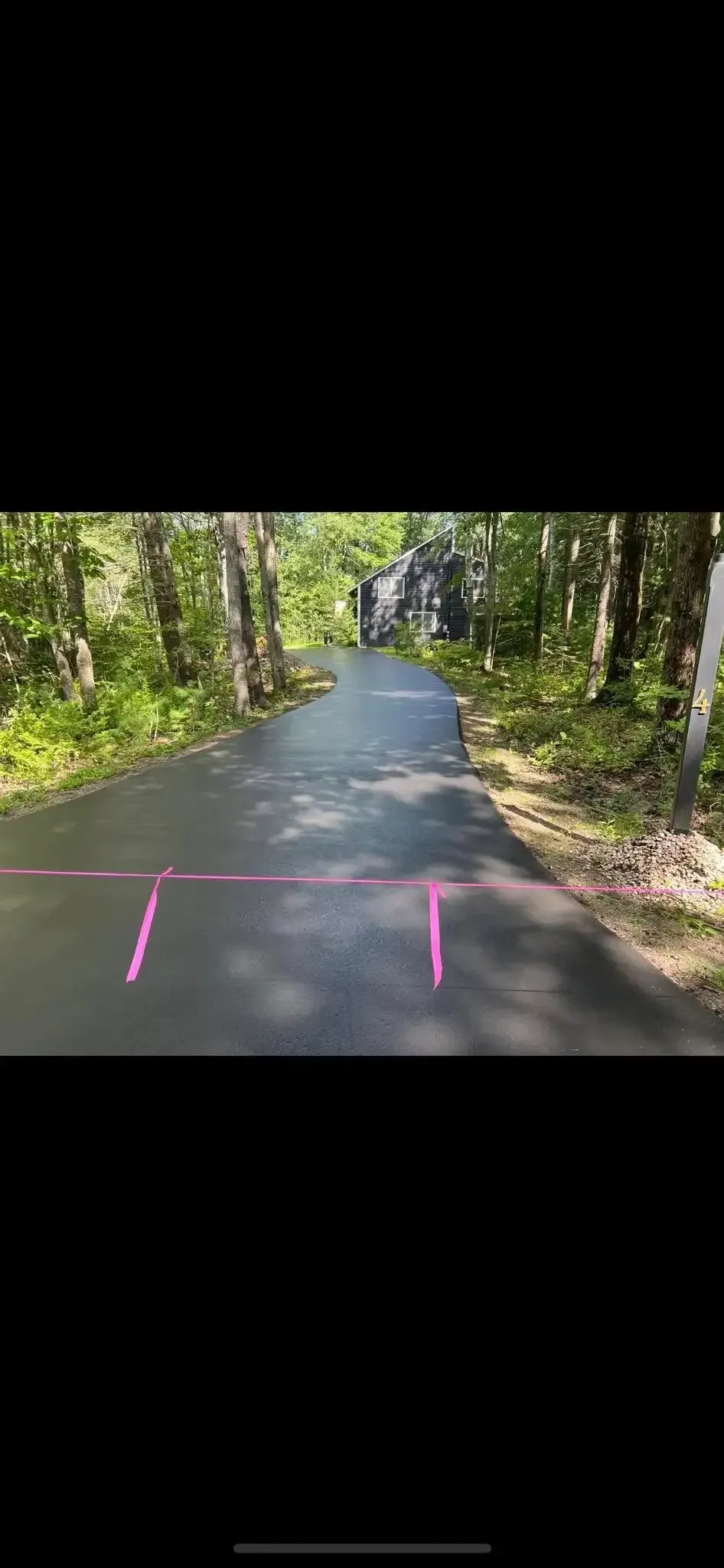 Asphalt road with pink markings leading into a wooded area.